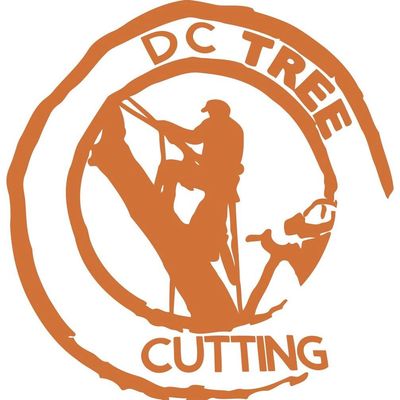 Avatar for DC Tree Cutting and Land Service