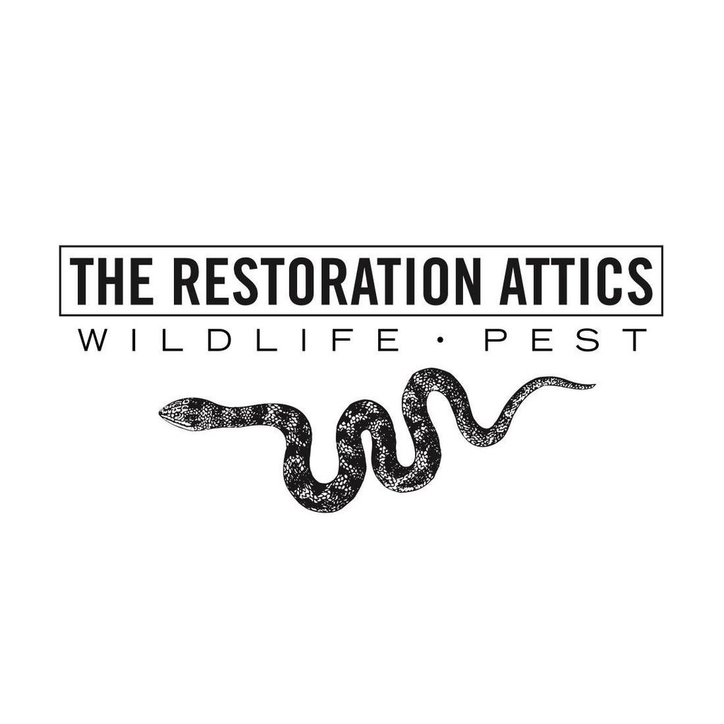 The Restoration Attics