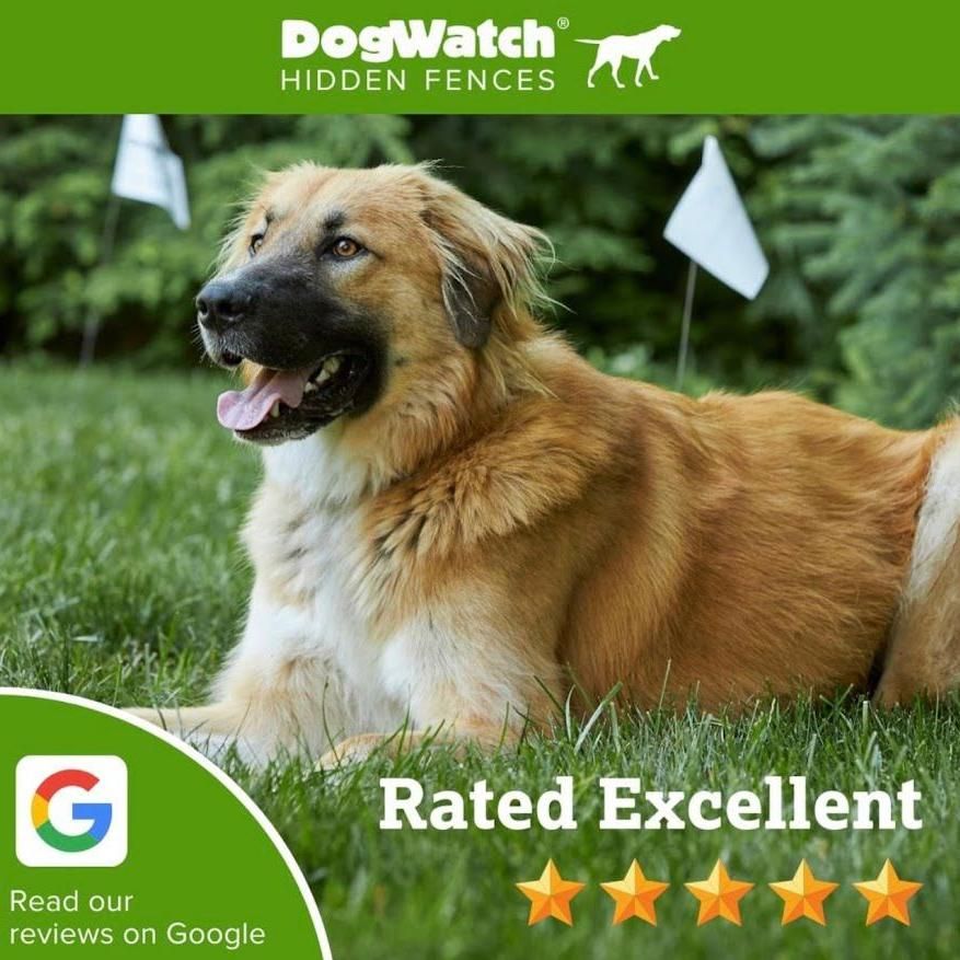 DogWatch Hidden Fence Company