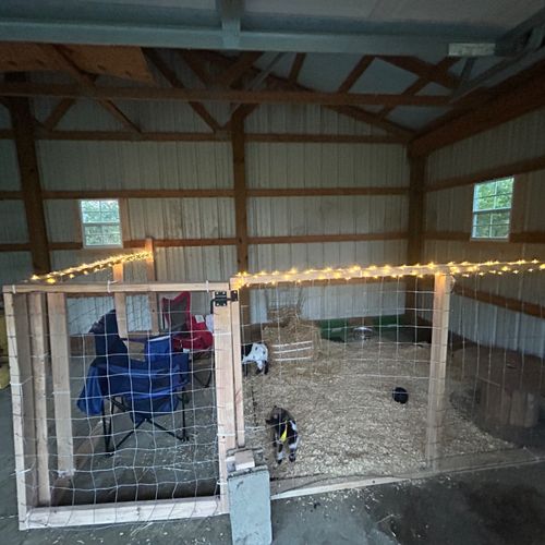 Love his work!! He put up 2 windows in my barn so 