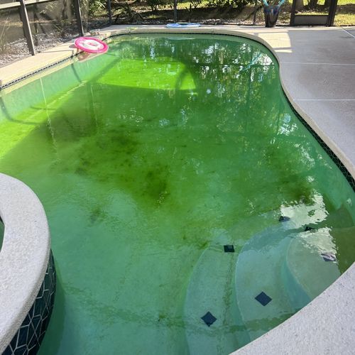 Swimming Pool Cleaning, Maintenance, and Inspection