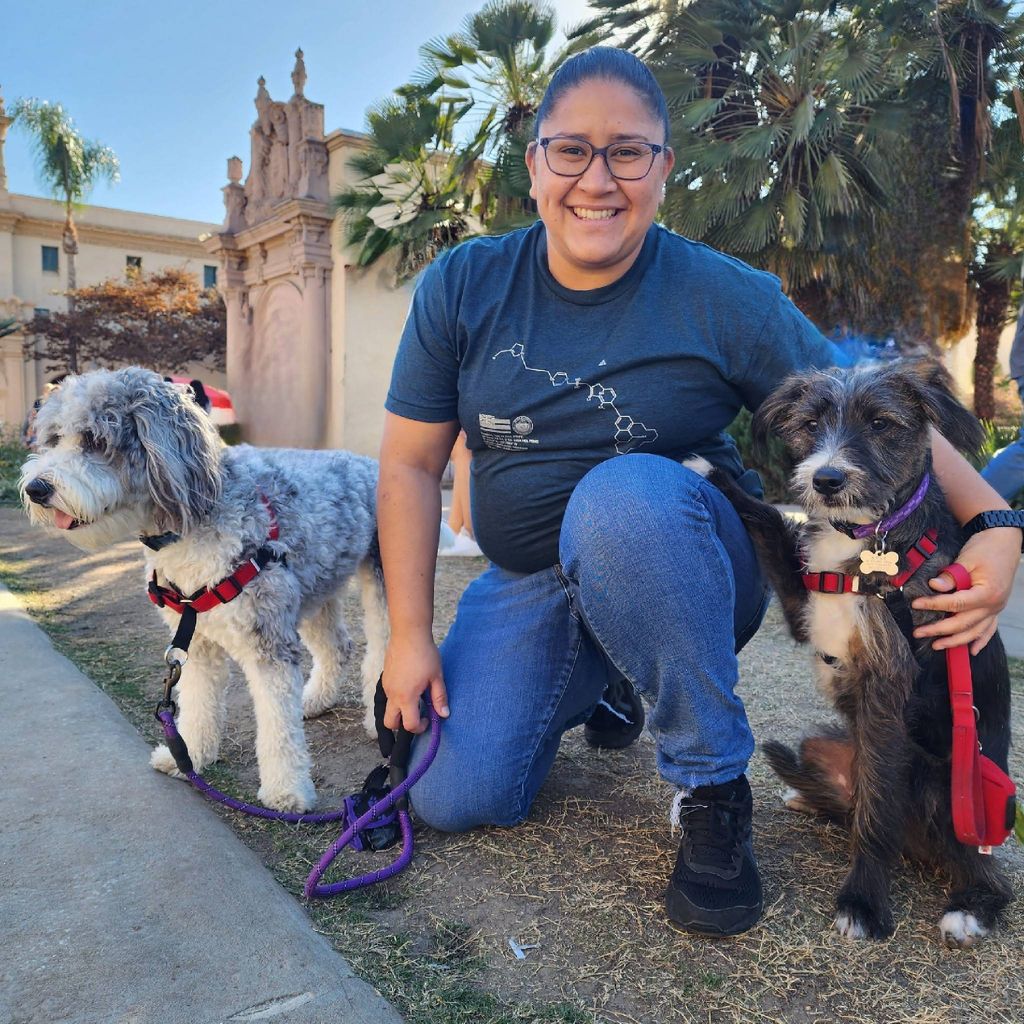 StarPup Dog Training