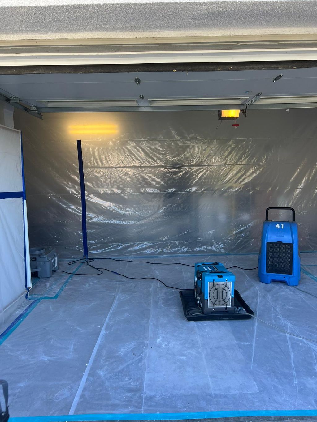 Mold Inspection and Removal