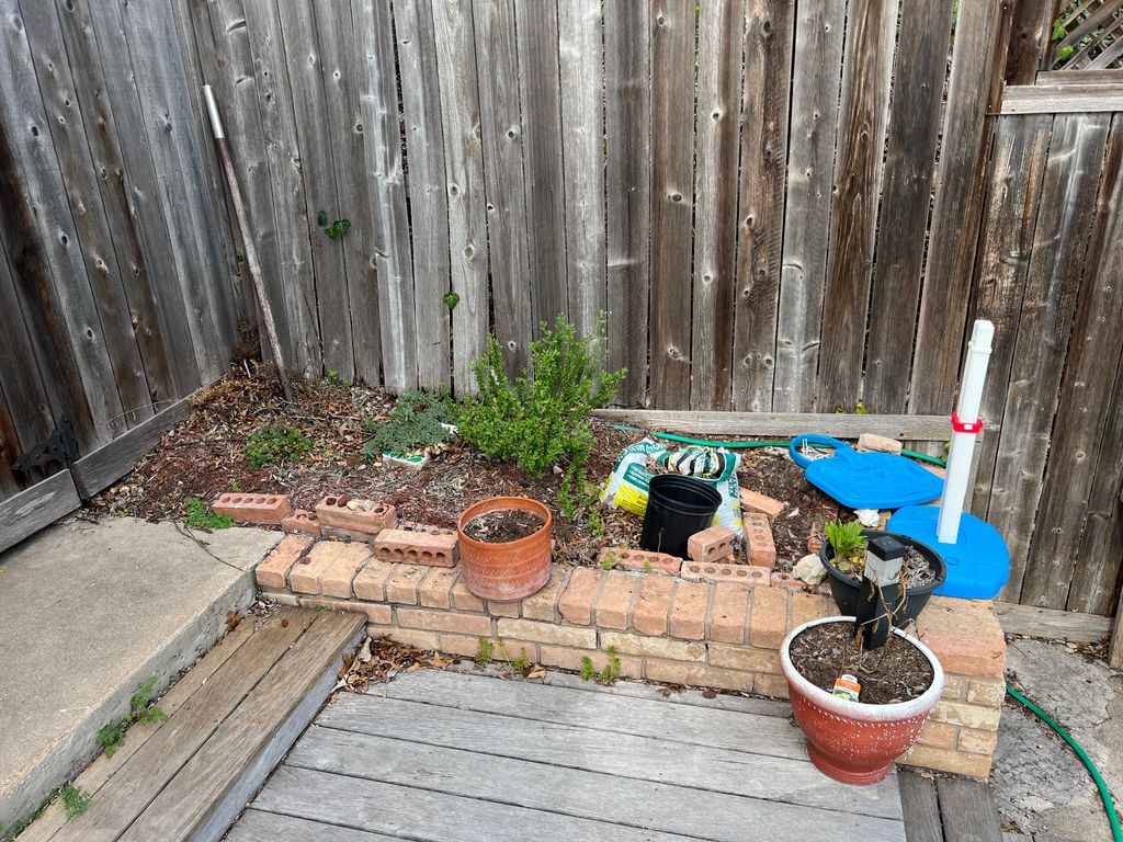 Before Landscaping