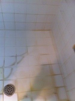 Tile and Grout Cleaning