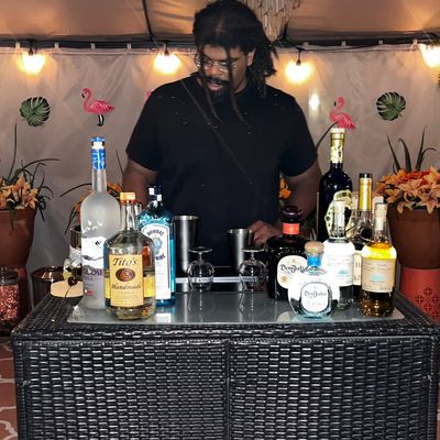 Avatar for Island vibes event bartending