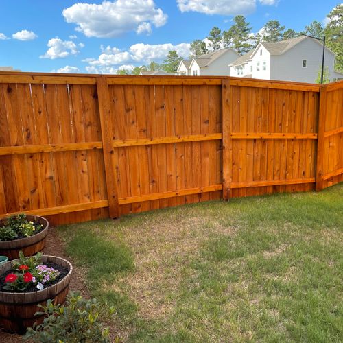 Fence Painting