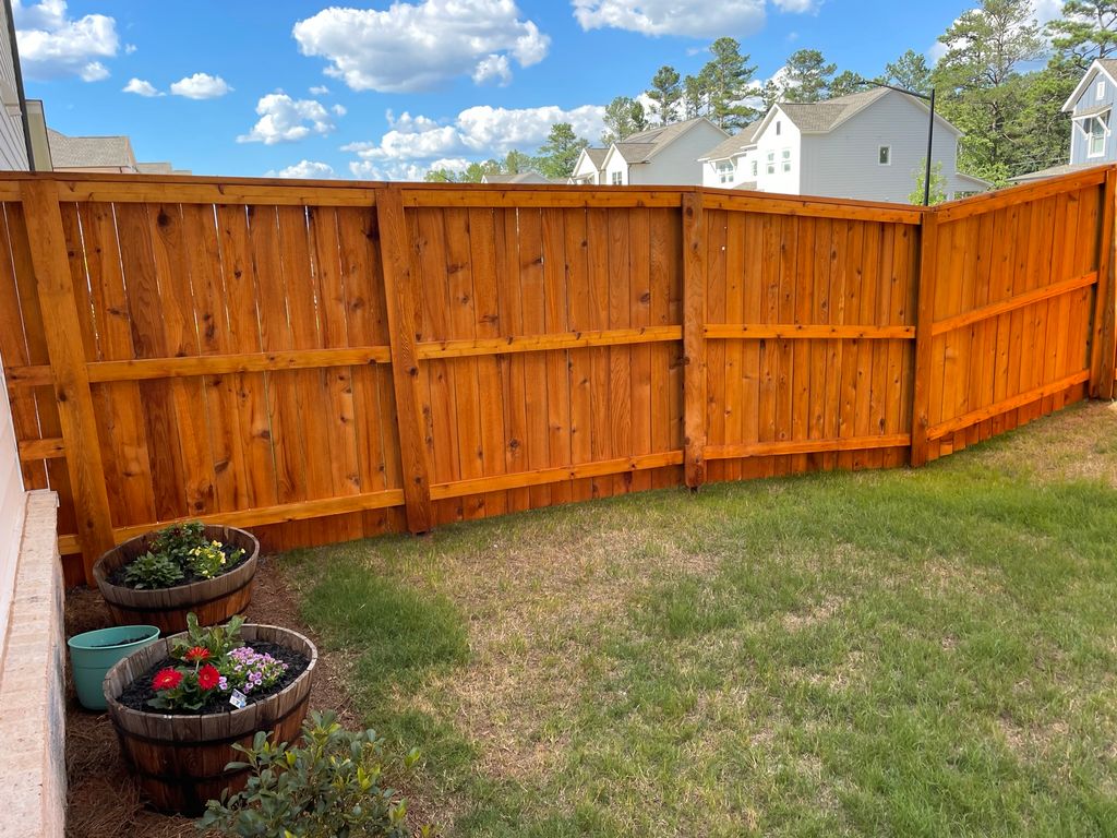 Fence Painting