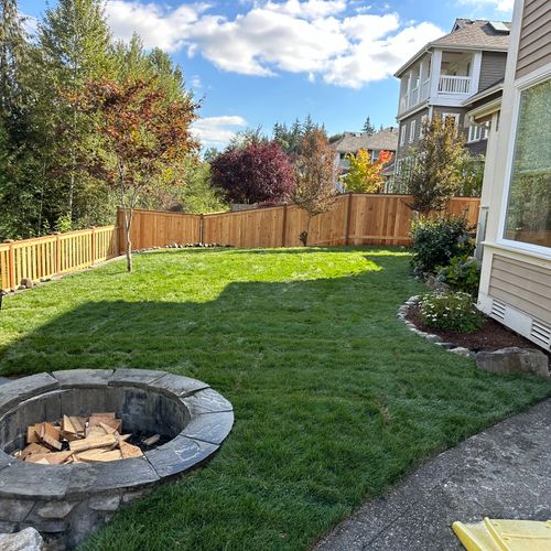 Sod Installation