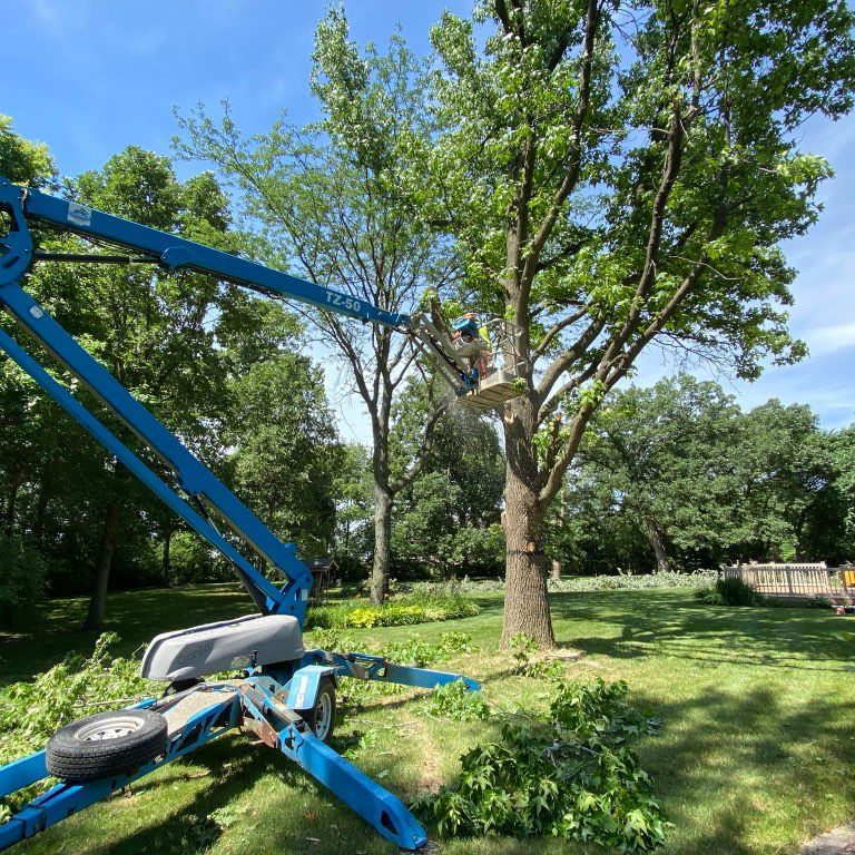 Bull of the Woods Tree Service