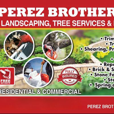 Avatar for PEREZ BROTHERS LANDSCAPING & TREE SERVICE