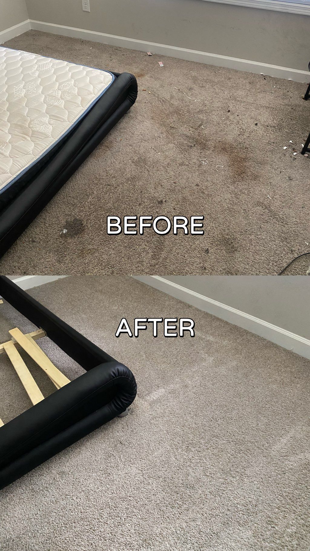 Carpet Cleaning Service, Spot Treatment Included