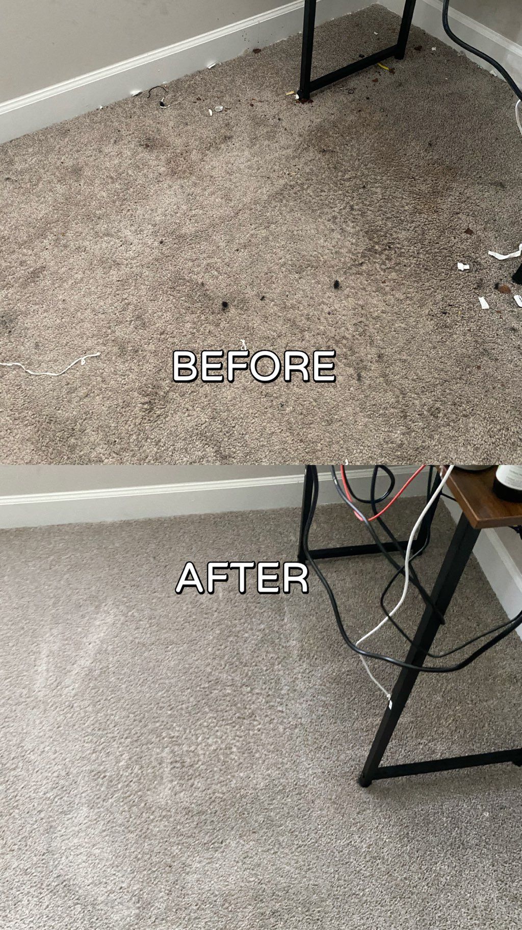 Carpet Cleaning Service, Spot Treatment Included