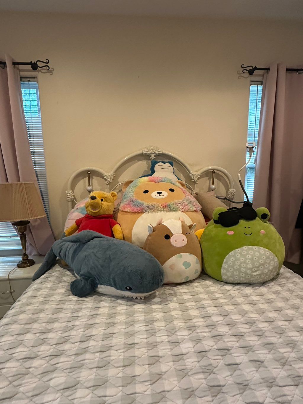 Customer photos