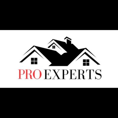 Avatar for Pro Experts of LI Inc.