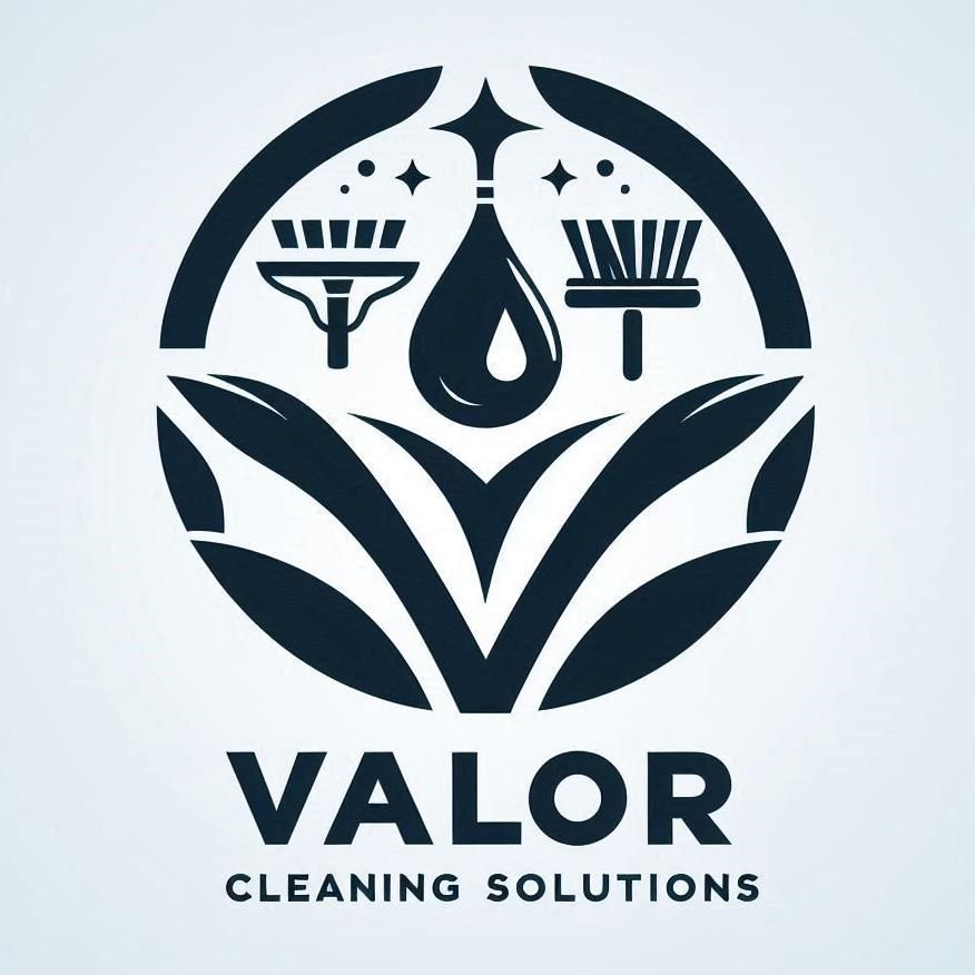 Valor Cleaning Solutions