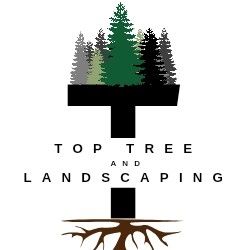 Avatar for Top Tree and Landscape