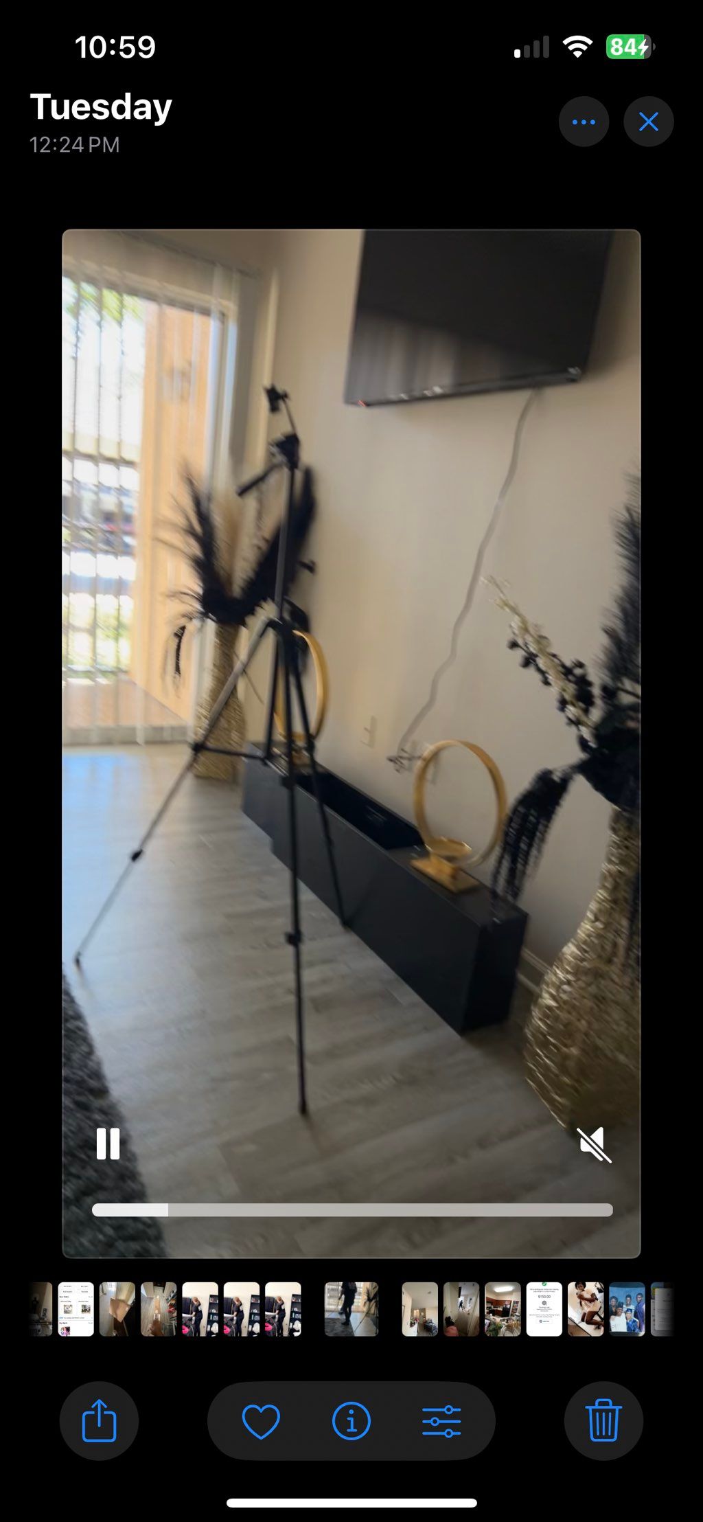 Projects and media