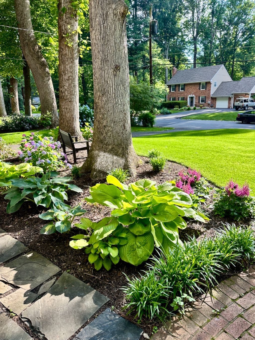 Took our front yard from zero grass and all weeds 