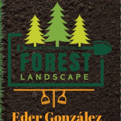 Avatar for Forest Landscape