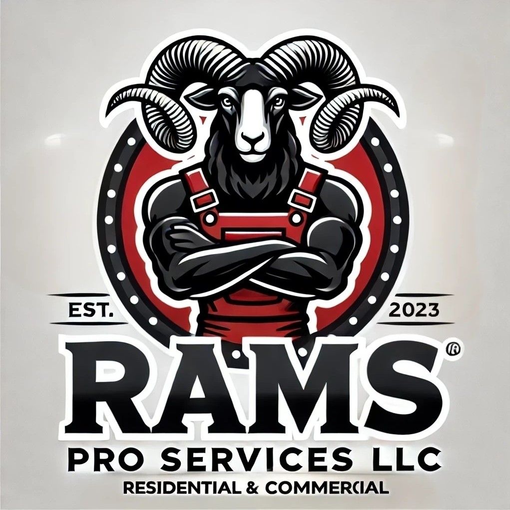 Rams Pro Service LLC