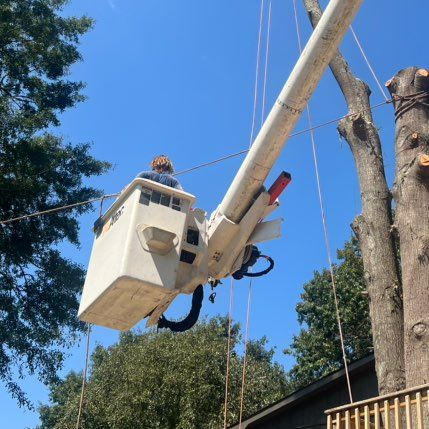 Port-Land Tree Services