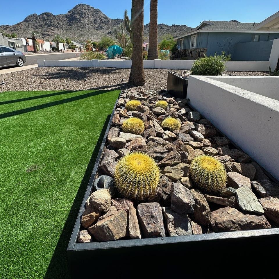Avid Landscape