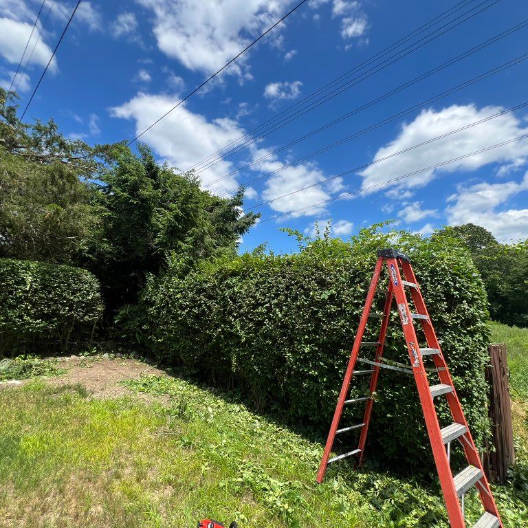 Vortex Landscaping & Construction