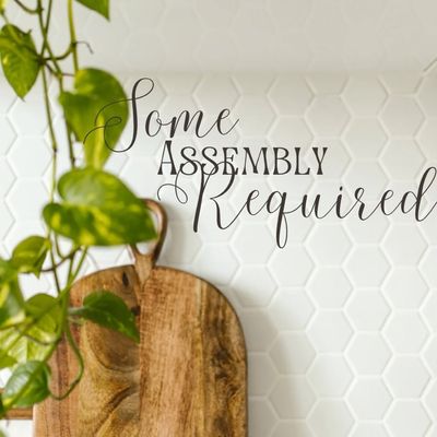 Avatar for Some Assembly Required