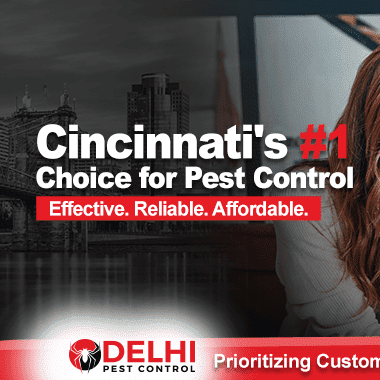 Avatar for Delhi Pest Control