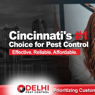 Delhi Pest Control