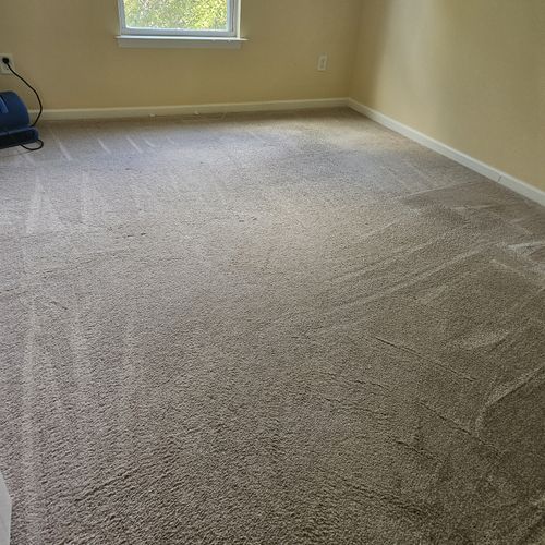 Carpet Cleaning