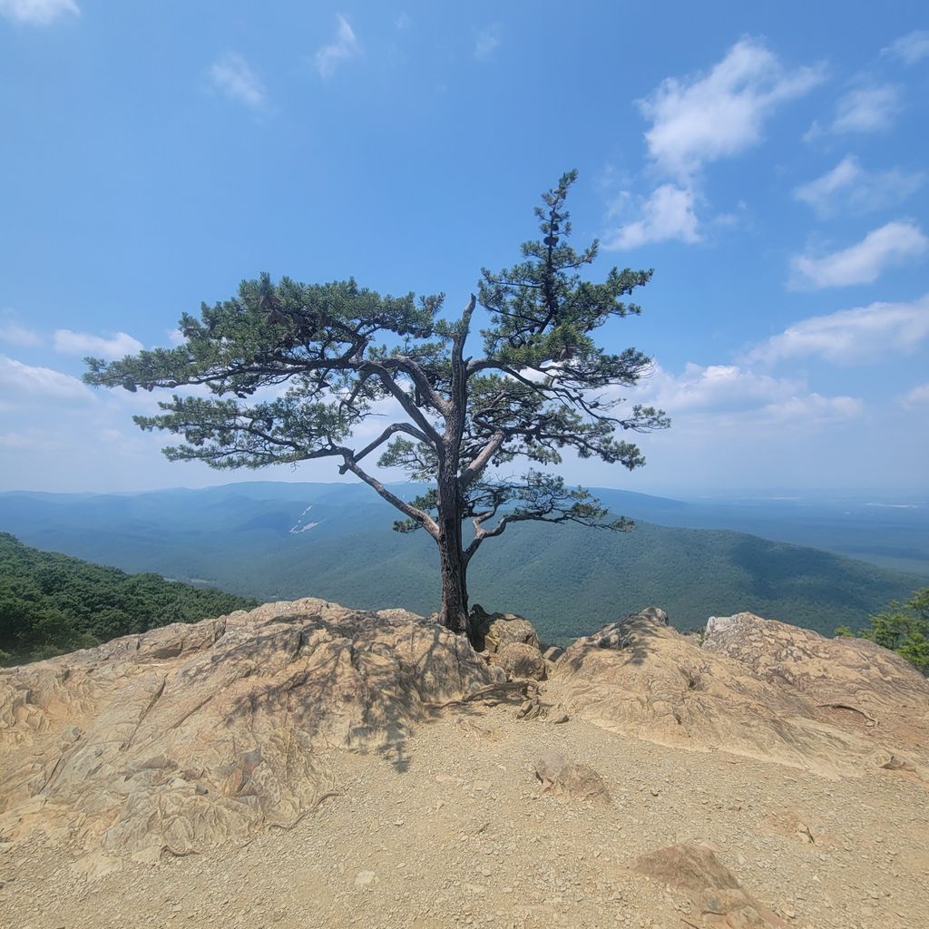 Ravens Roost, VA