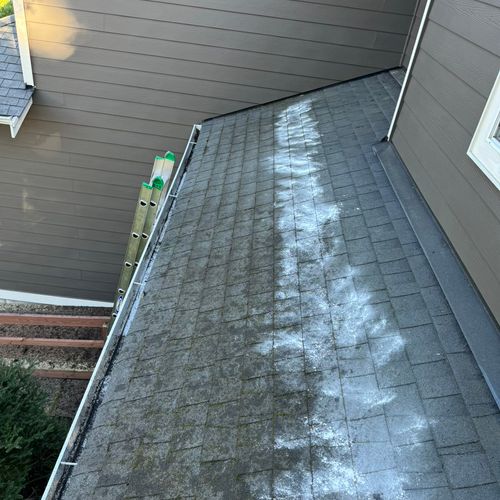 I recently had my roof cleaned, and I couldn’t be 