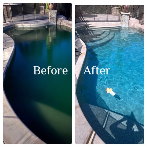 Swimming Pool Cleaning, Maintenance, and Inspection