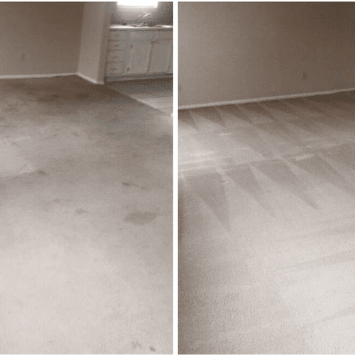 Carpet before and after