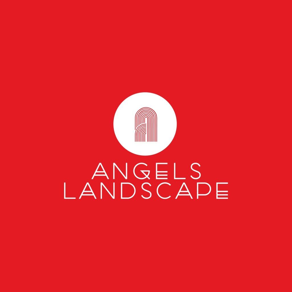 Angel’s Landscape