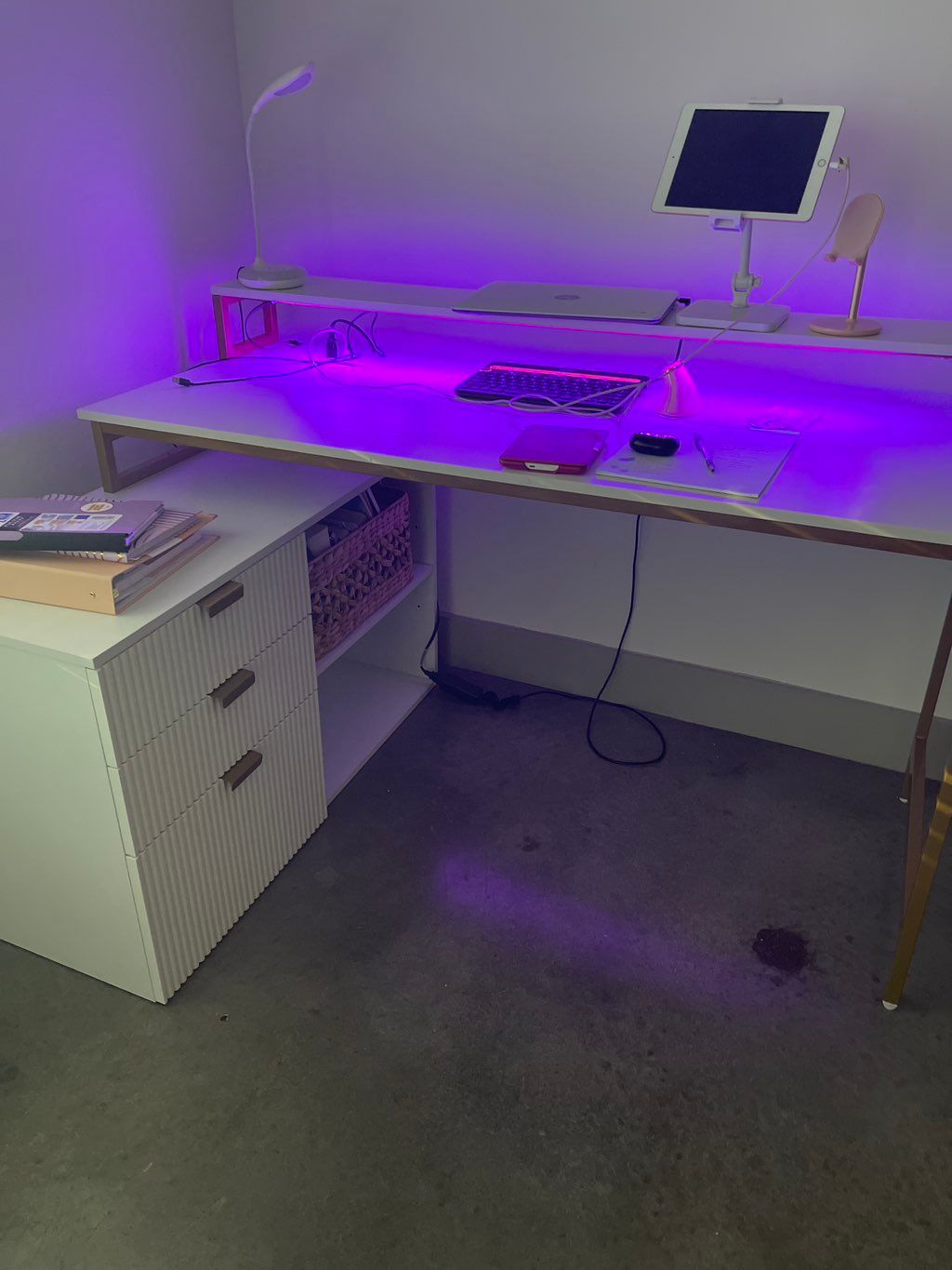 Projects and media