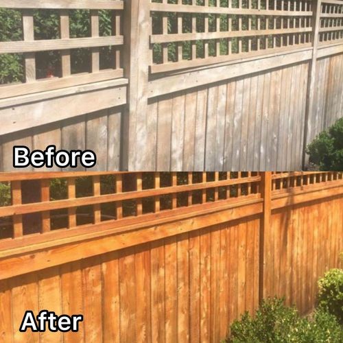 Fence Painting