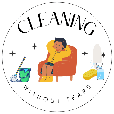 Avatar for Cleaning Without Tears