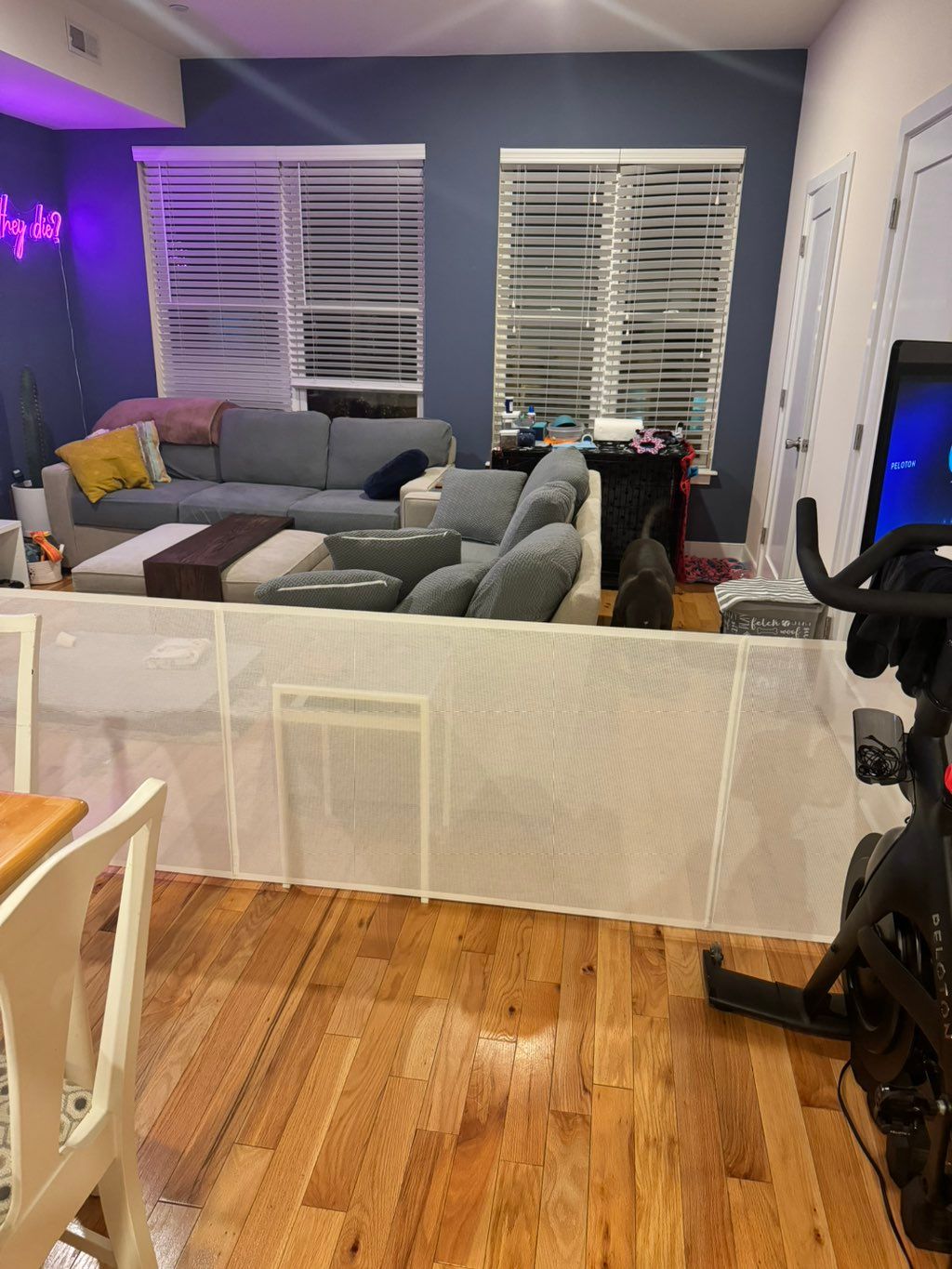 Customer photos