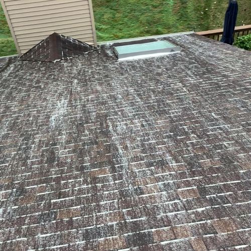 Pressure Washing