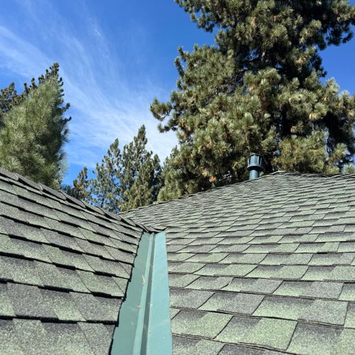 Roof Cleaning