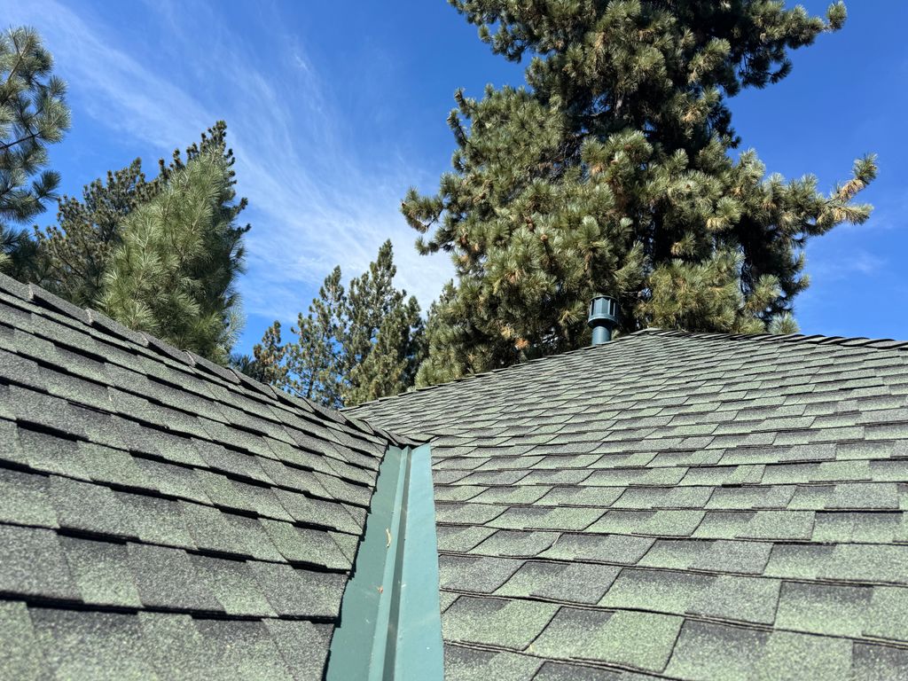 Roof Cleaning