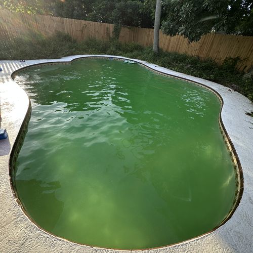 Swimming Pool Cleaning, Maintenance, and Inspection