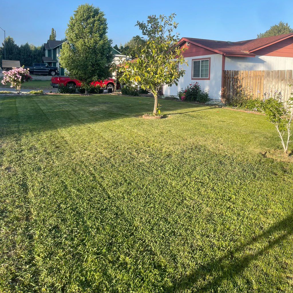 cesar’s lawn and landscape