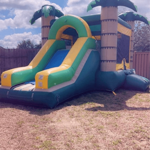 Bounce House and Party Inflatables Rental