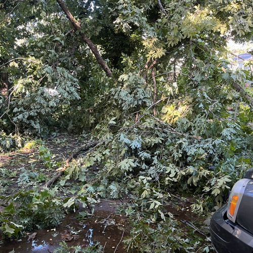 A tree fell across our driveway, blocking us in du