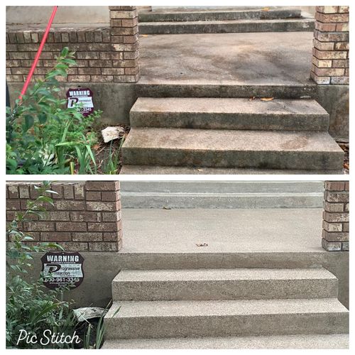 Safety comes first! Mold/Mildew on steps and walkw