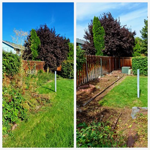 Shrub Trimming and Removal